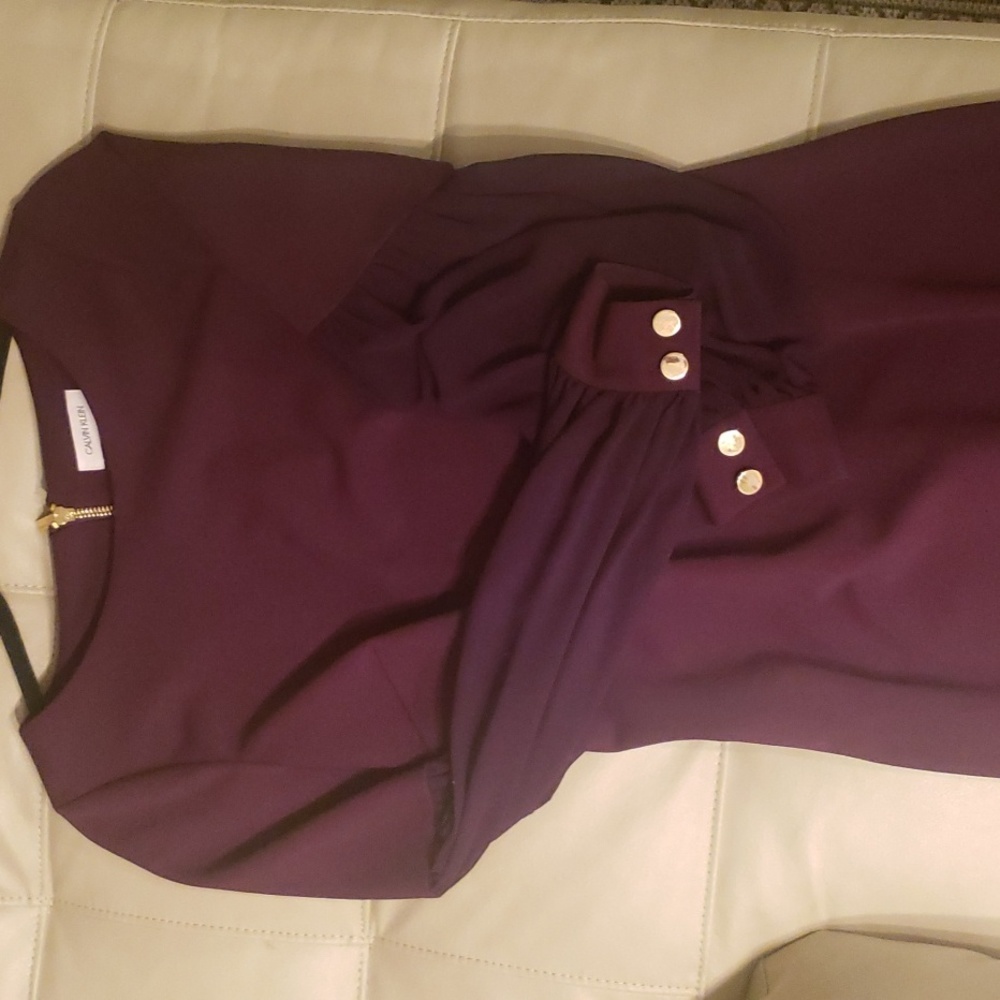 Calvin Klein Short Shift Dress with Chiffon Overlay & Sleeves Aubergine . Size 4